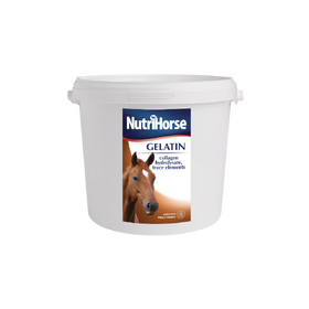 NutriHorse Gelatin