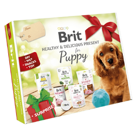 BRIT HEALTHY & DELICIOUS PRESENT FOR PUPPY 2023 