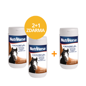 2+1 NutriHorse Chondro plv. 1 kg