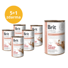 5+1 ZDARMA Brit GF Veterinary Diets Dog Can Renal 400 g