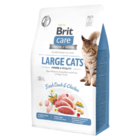 Brit Care Cat Grain-Free LARGE CATS POWER AND VITALITY - 1/2