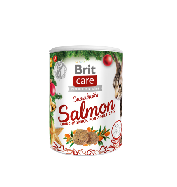 BRIT CARE CAT CHRISTMAS SUPERFRUITS 100 g - 1