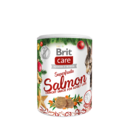 BRIT CARE CAT CHRISTMAS SUPERFRUITS 100 g - 1/5