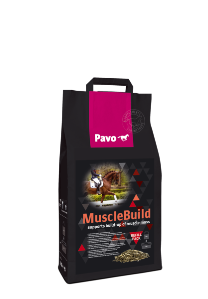 PAVO Muscle Build - 1