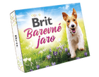 Brit Jarní BOX Dog - 1/6