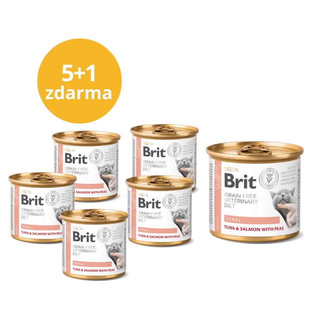 5+1 ZDARMA Brit GF Veterinary Diet Cat Cans Renal 200 g - 1