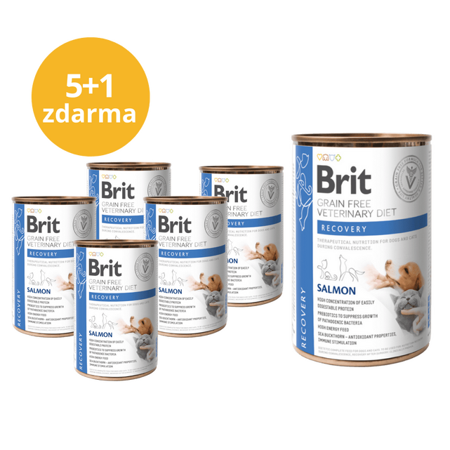 5+1 ZDARMA Brit GF Veterinary Diets Dog + Cat Can Recovery 400 g - 1