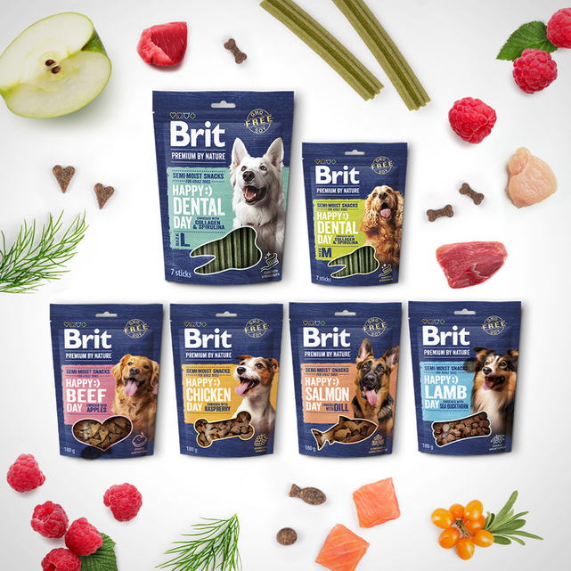 Brit Premium by Nature Dog Semi-moist Snacks Salmon with Dill 180 g - 2