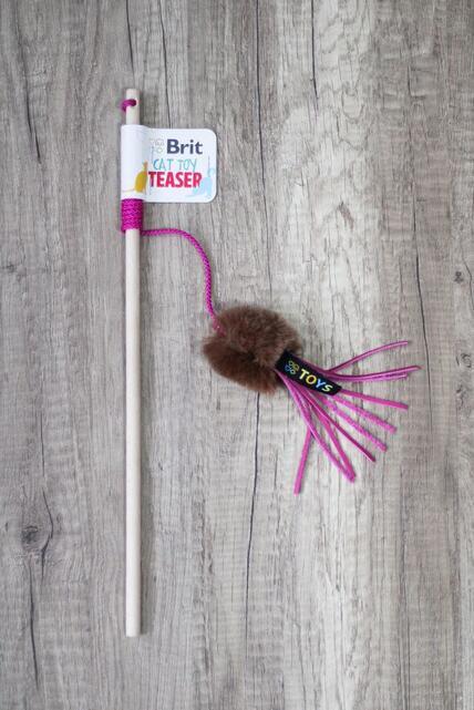 Brit Cat Toy Teaser  - 2