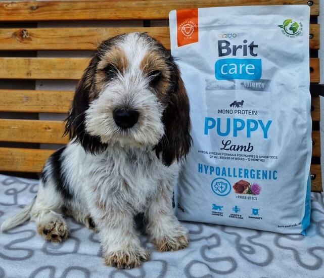 Brit Care Dog Hypoallergenic Puppy - 2