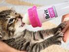 Brit Care Kitten Milk Kit 250 g - 2/7