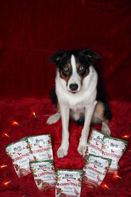 Brit Care Dog Functional Snack Christmas Edition 150 g  - 2