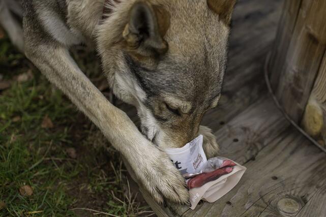 Brit Meat Jerky Snack - Chicken Fillets - 2