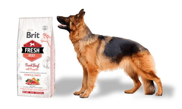 Brit Fresh Beef with Pumpkin Puppy Large Bones & Joints - 2