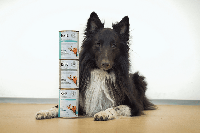 5+1 ZDARMA Brit GF Veterinary Diets Dog Can Joint & Mobility 400 g - 2