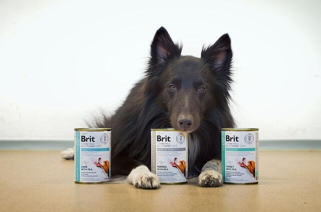 5+1 ZDARMA Brit GF Veterinary Diets Dog Can Obesity 400 g - 2