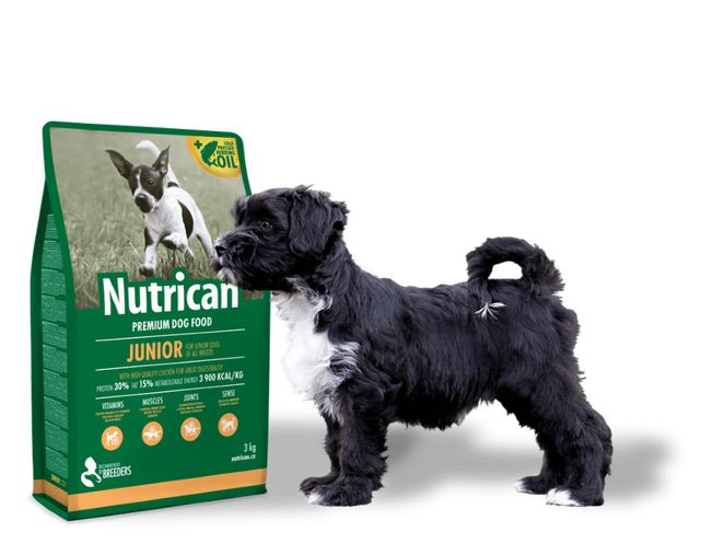 Nutrican Junior - 2