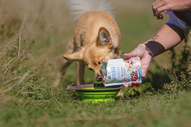 Brit Care Mini Puppy Lamb fillets in gravy 85 g - 2