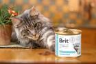 5+1 ZDARMA Brit GF Veterinary Diet Cat Cans Obesity 200 g - 2/3