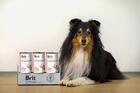 5+1 ZDARMA Brit GF Veterinary Diets Dog Can Renal 400 g - 2/3