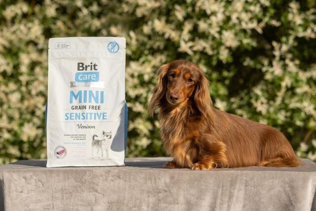 Brit Care Mini Sensitive Grain Free - 3