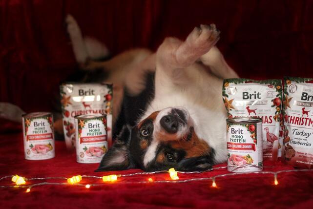 Brit Care Dog Functional Snack Christmas Edition 150 g  - 3