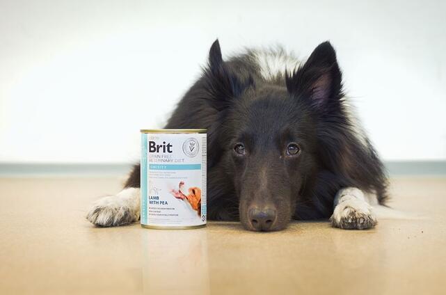 Brit GF Veterinary Diets Dog Can Obesity 400 g - 3