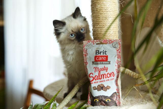 2+1 Brit Care Cat Snack Meaty Salmon 50 g - 3