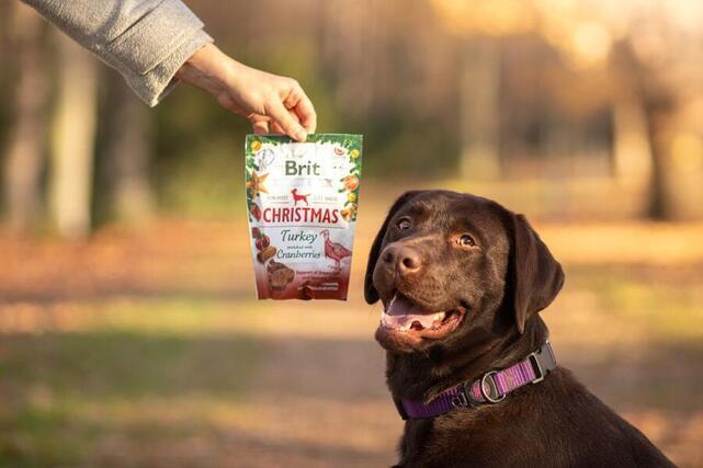 Brit Care Dog Functional Snack Christmas Edition 150 g  - 5