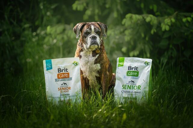 Brit Care Dog Sustainable Senior - 5