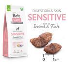 Brit Care Dog Sustainable Sensitive - 5/5