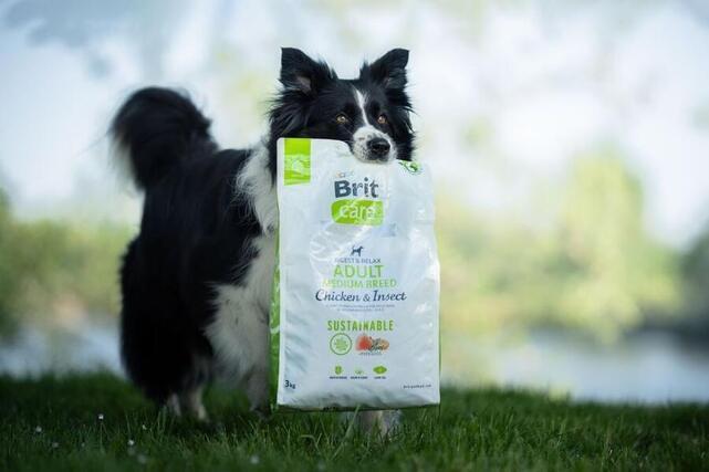 Brit Care Dog Sustainable Adult Medium Breed - 7